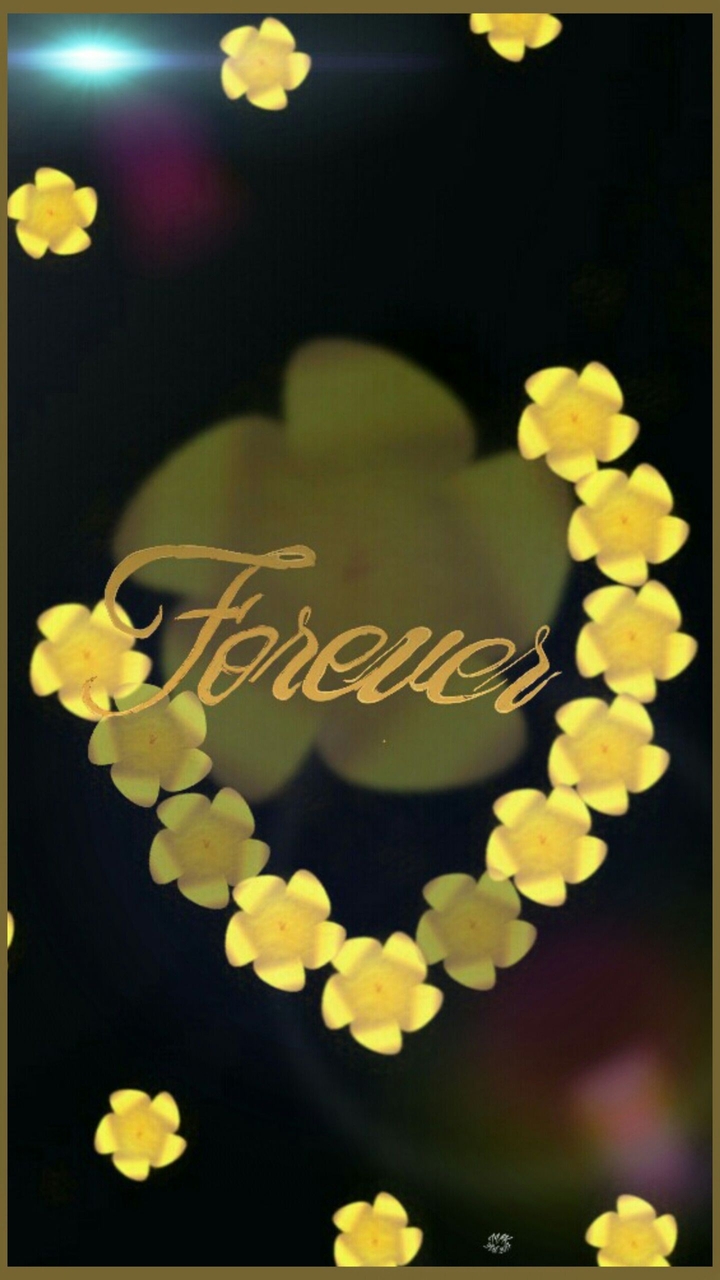 fleurs couleur de soleil