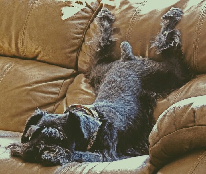 lazy day