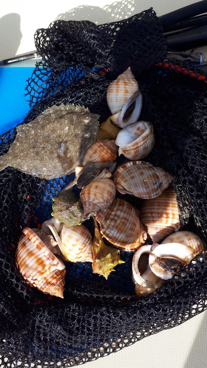 pesca subacquea