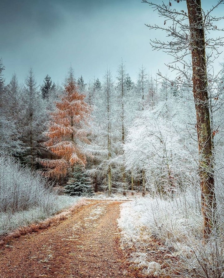 #winter
