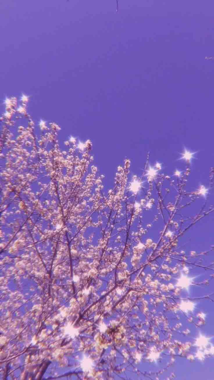 purple aesthetic