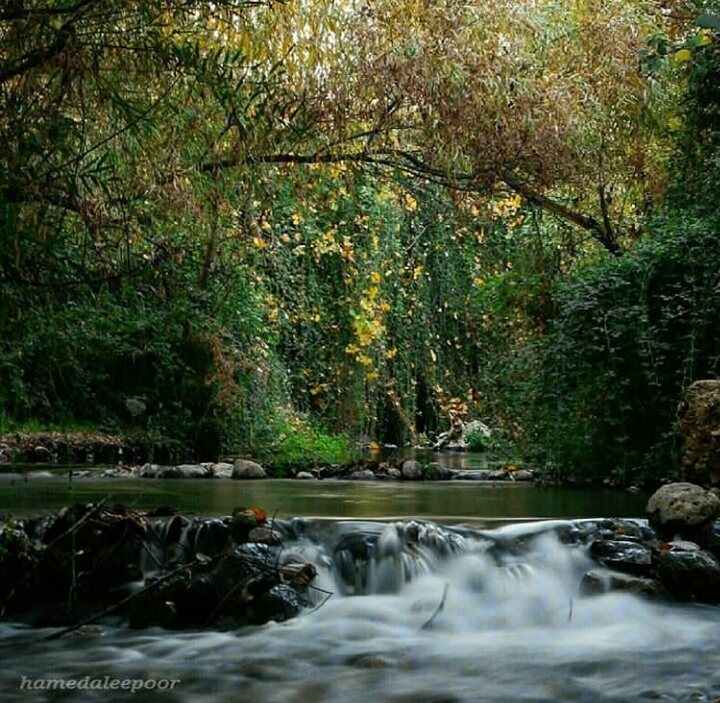 Lorestan nature