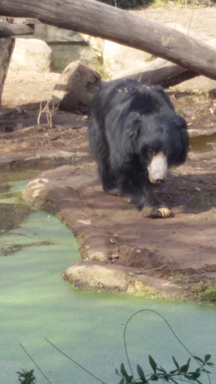 Zoo Leipzig