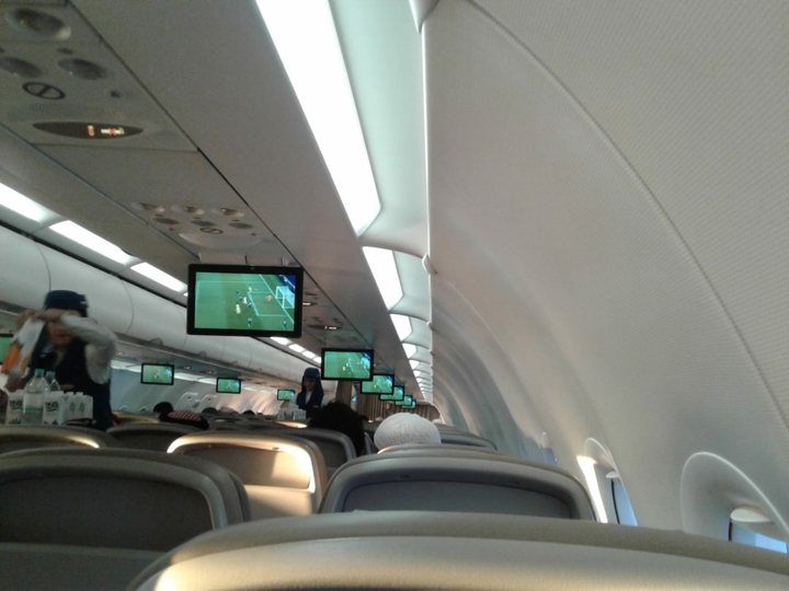 in flight