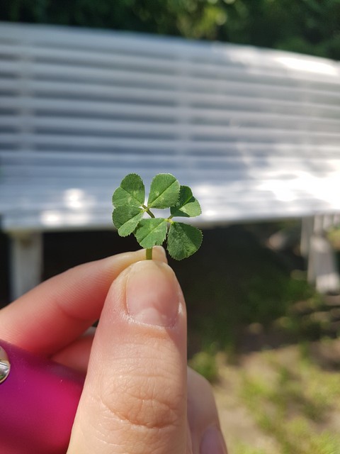 luckyshot, lucky achtergronden