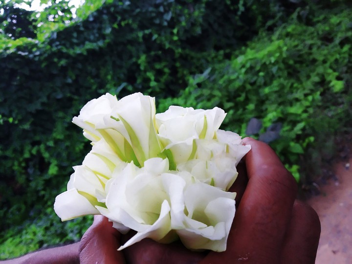 for...u..