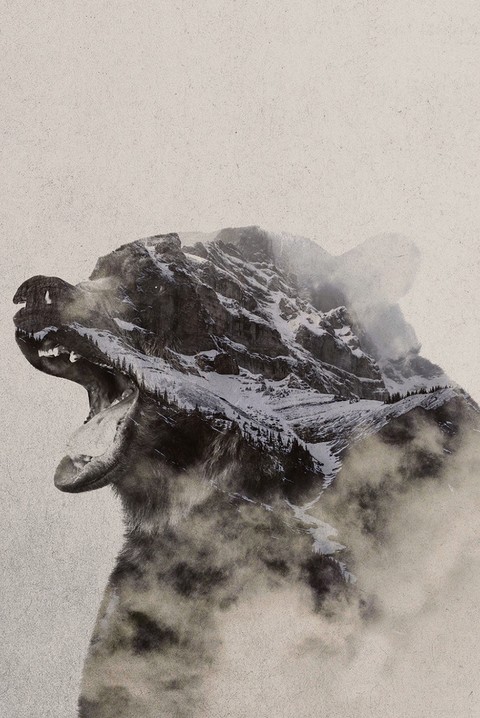 Growl