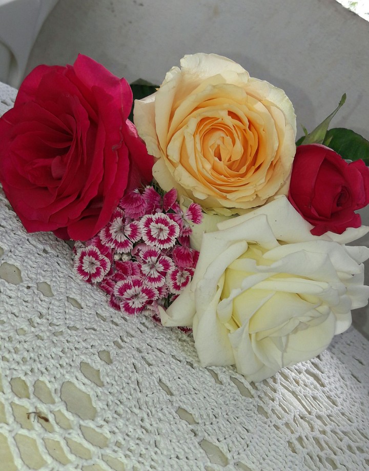 roses