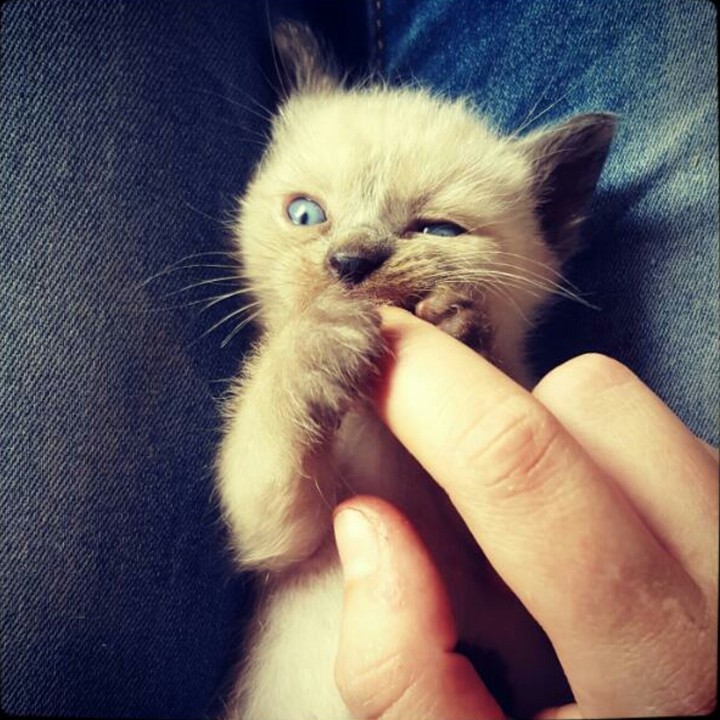 ❤