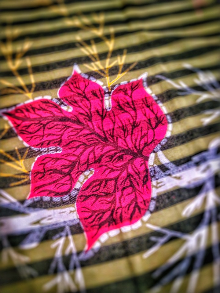Maple Beauty