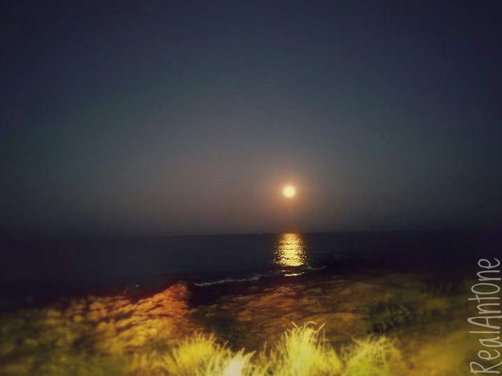 Moon