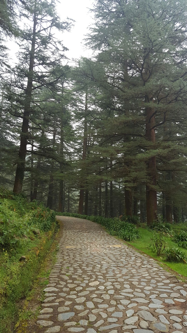 the path of righteousness