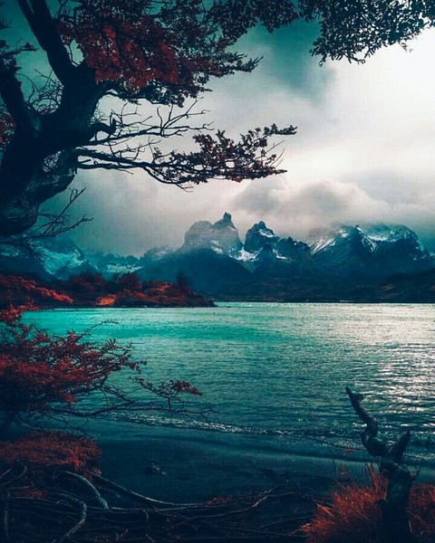 cool view