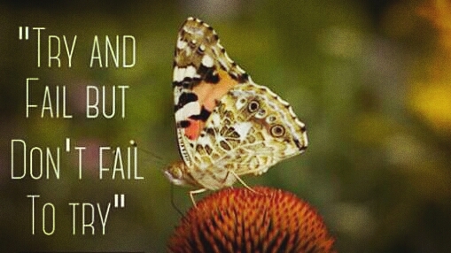Don't Fear Failure