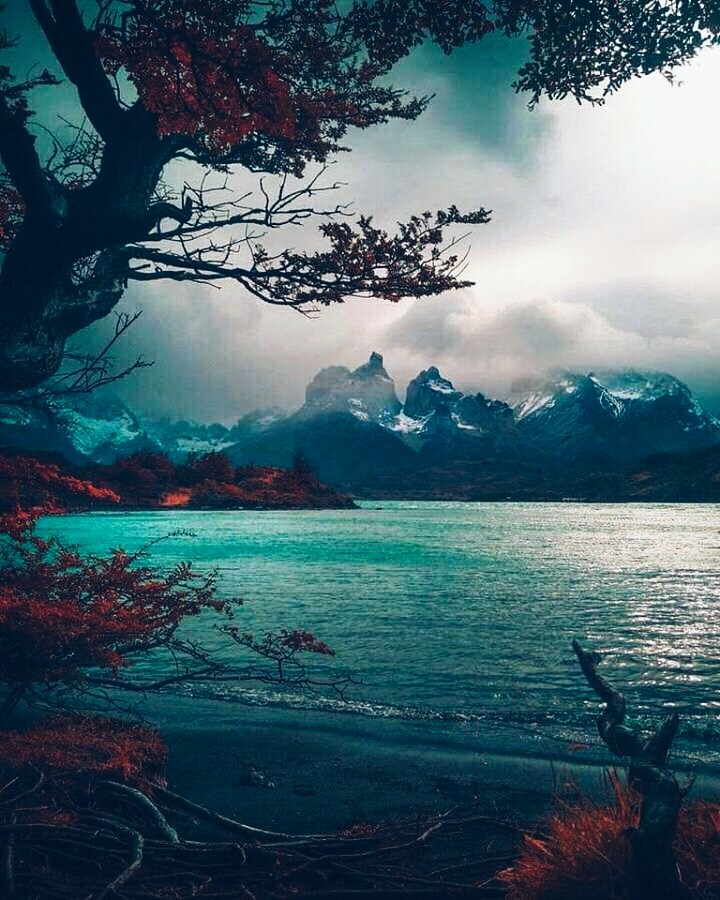 cool view