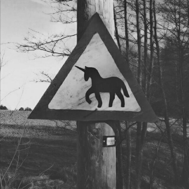 unicorn