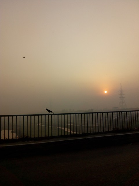 fog or smog morning