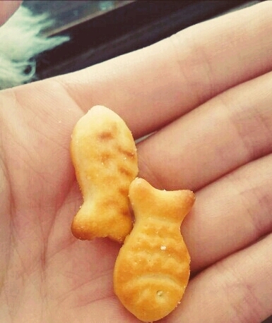 yum yum