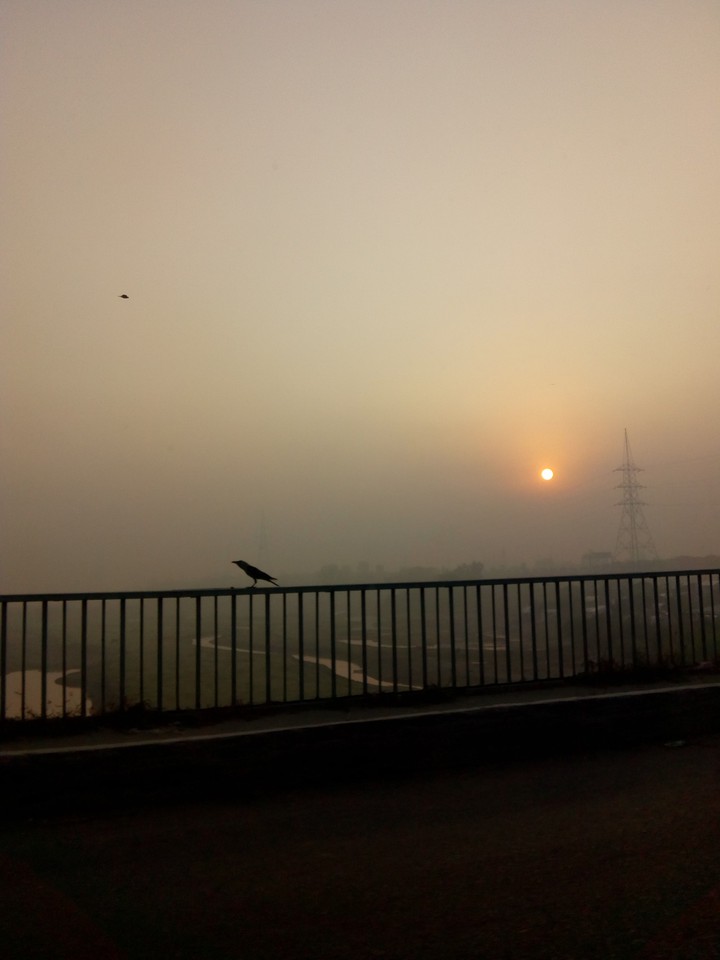 fog or smog morning