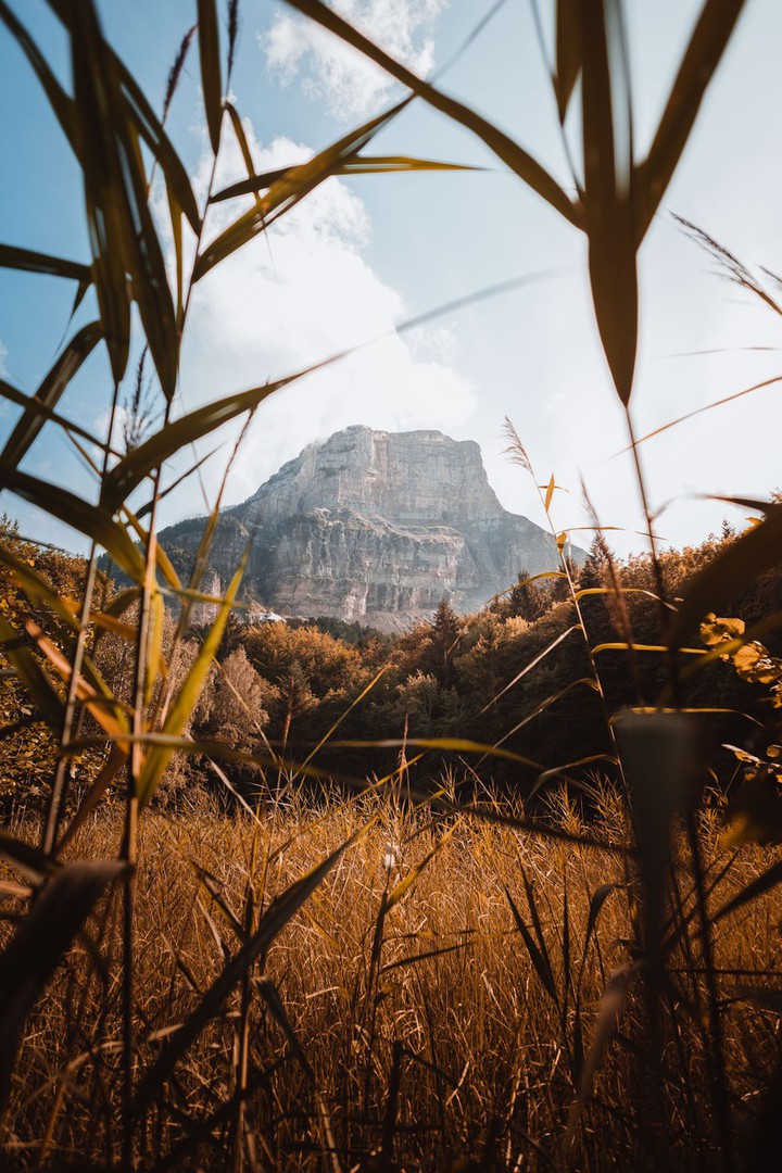 good nature