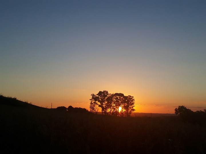 O sol tímido