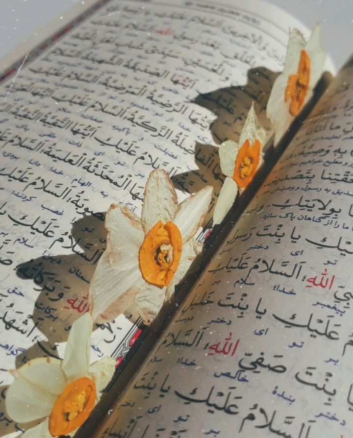 زیارت سیده زینب