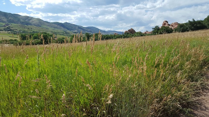 Colorado