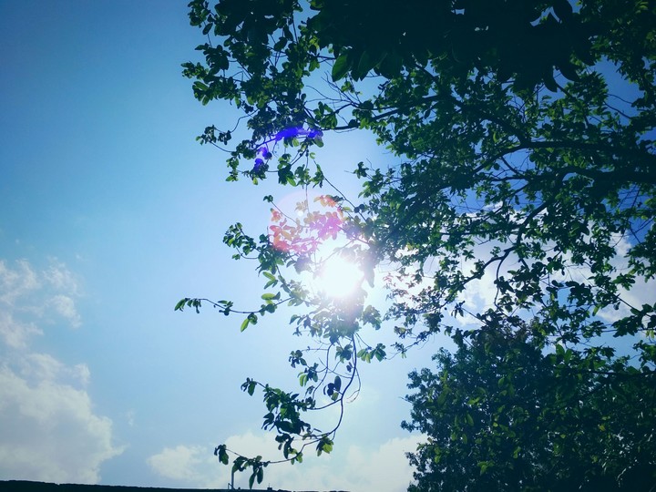 summer