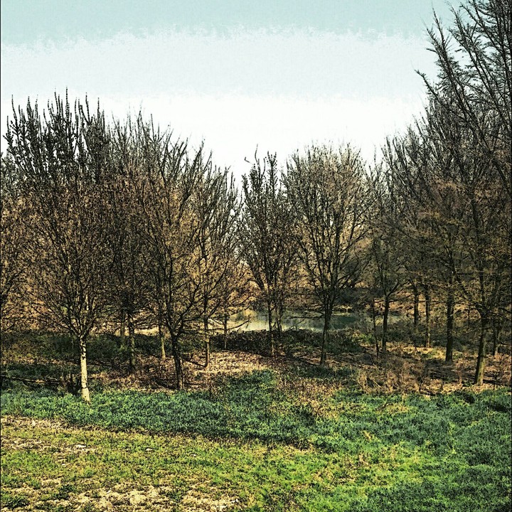 autunno