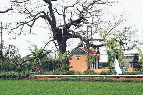 Viet Nam in 2018