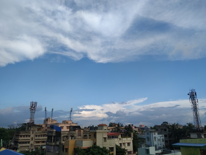 City of Joy