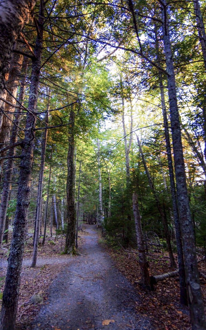 nature