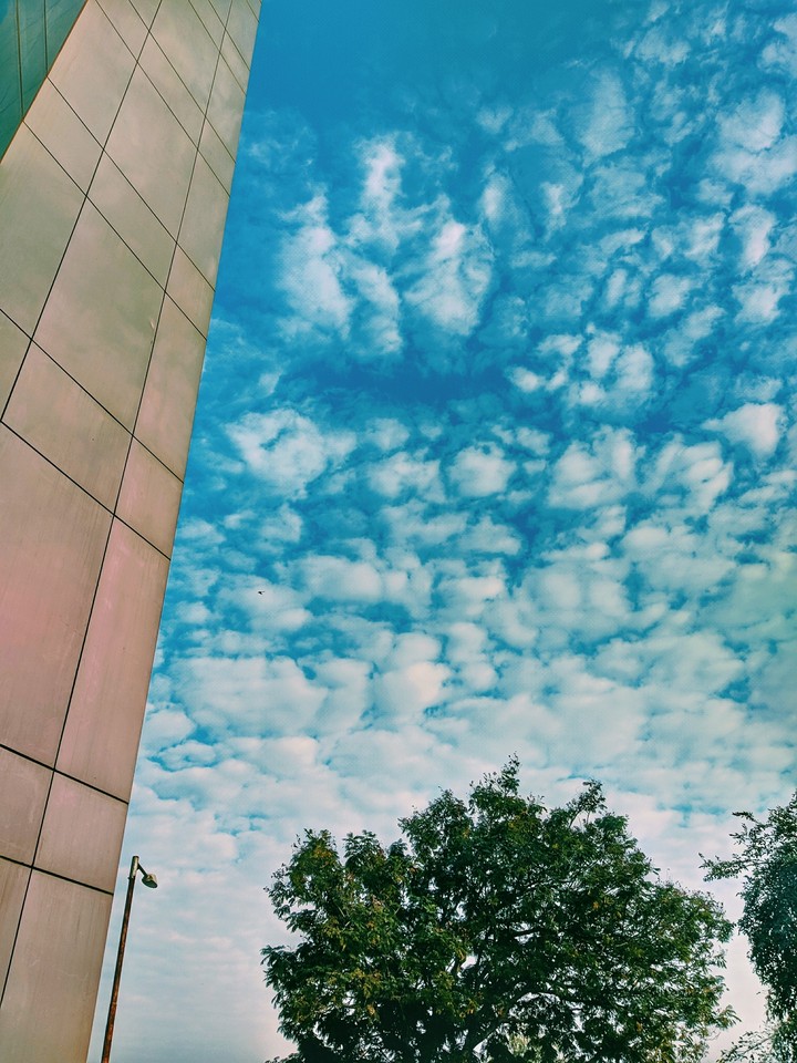 winter sky