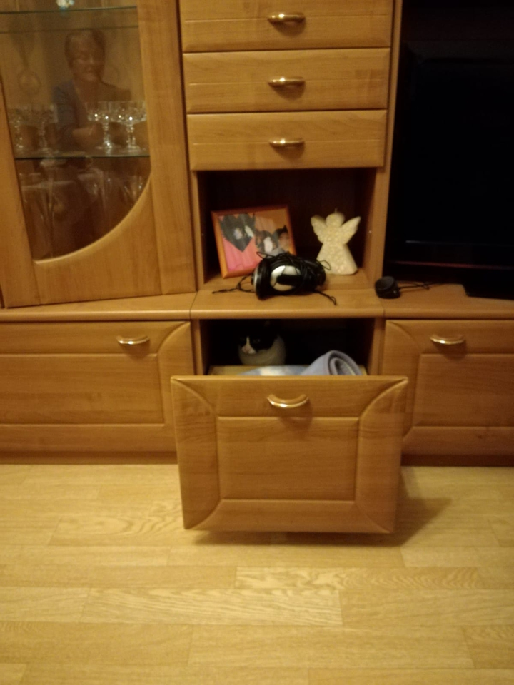 finde die Katze