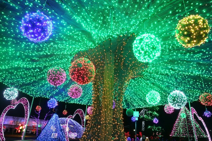 tree?