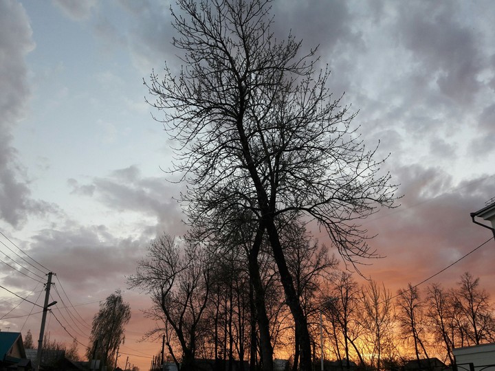 Sky