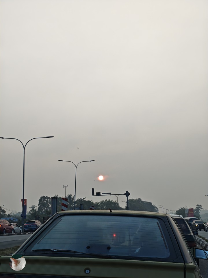 This morning