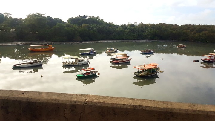 Barcos