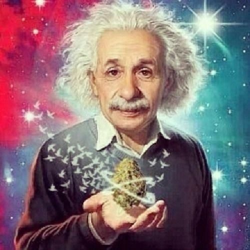 Einstein Theory Of Dank