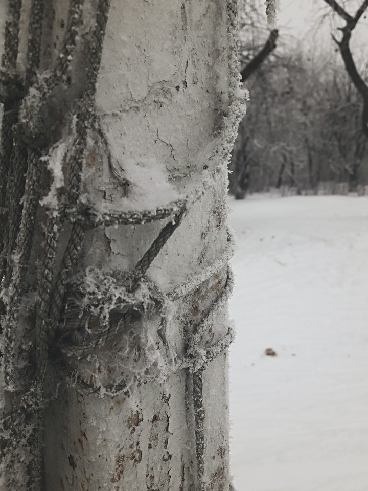 Winter is period of magic...