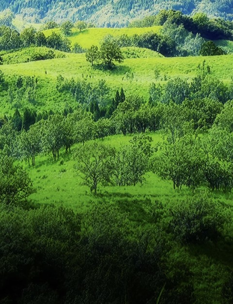sfondi highland, hills
