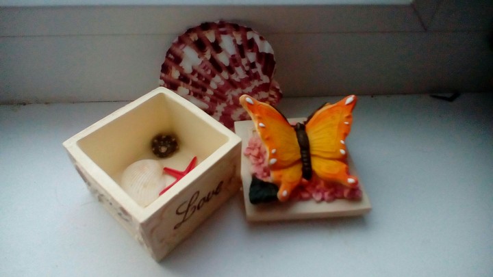 seashells...