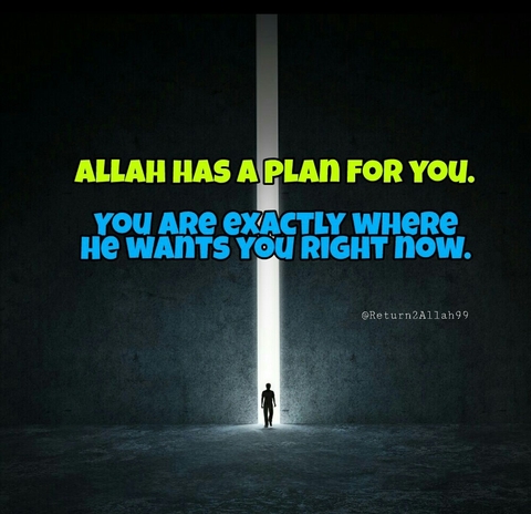Allah's Plan