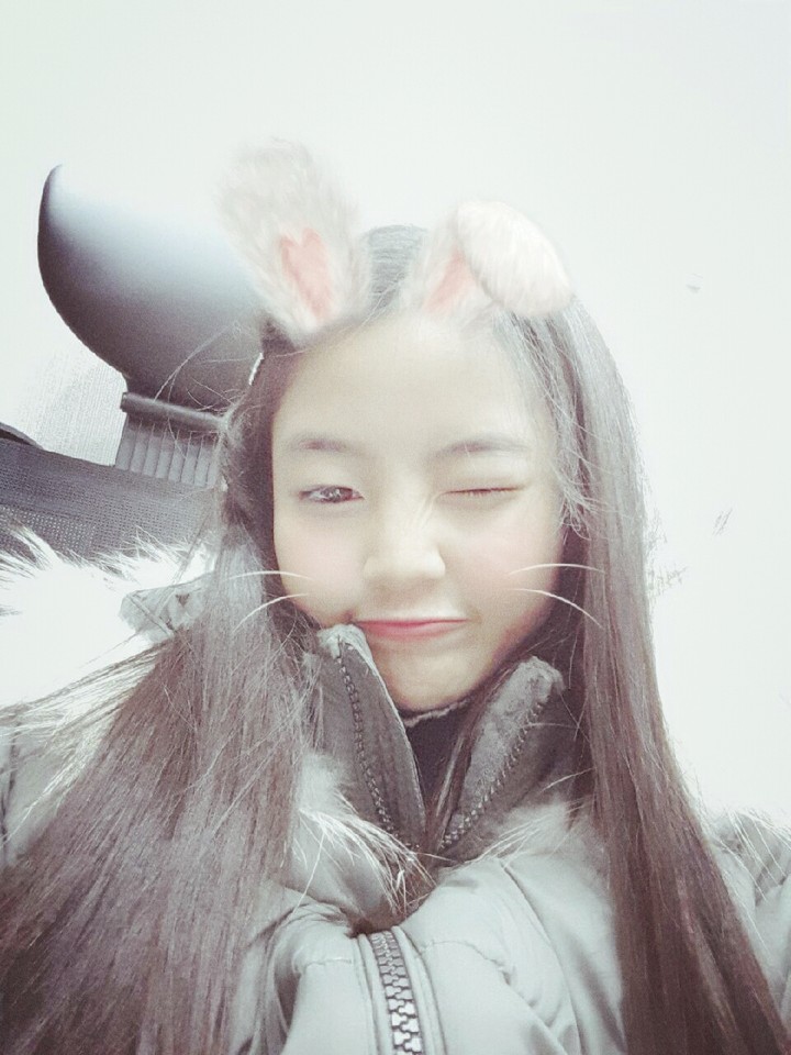 내사진