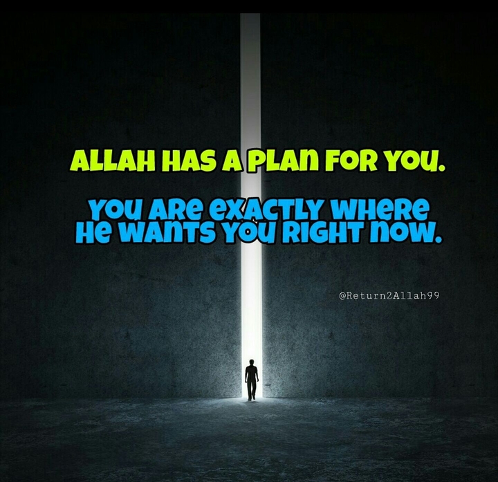 Allah's Plan