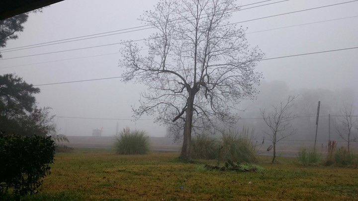 foggy morning