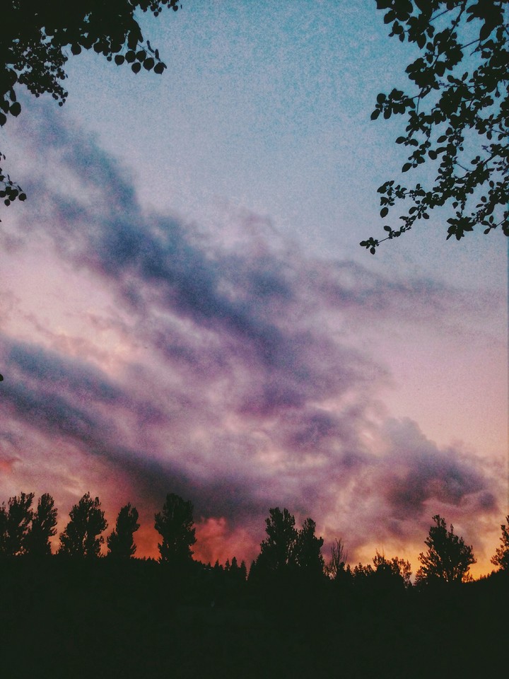 ♥