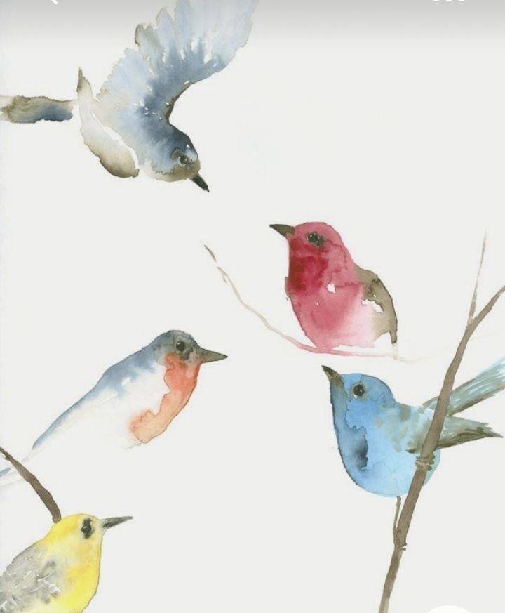 Birdies ?