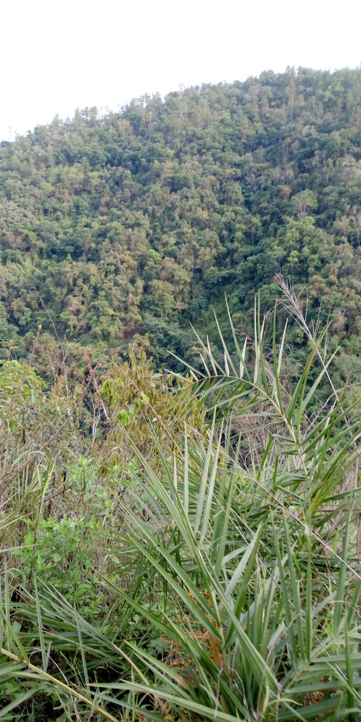 mountain