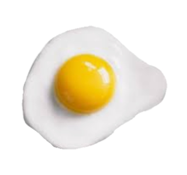 huevo egg